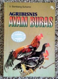 Agribisnis Ayam Buras