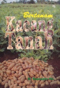 Bertanam Kacang Tanah