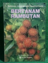 Bertanam Rambutan