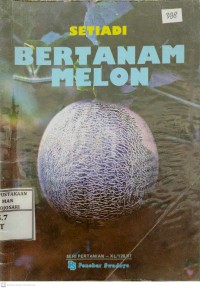 Bertanam Melon