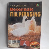 Beternak Itik Pedaging