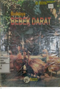 Budidaya Bebek Darat