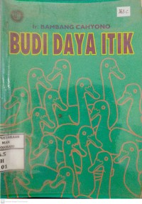 Budidaya Itik