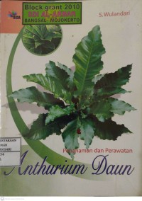 Penanaman Dan Perawatan Anthurium Daun