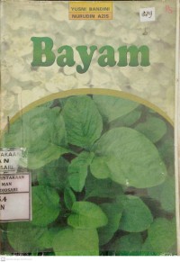 Bayam